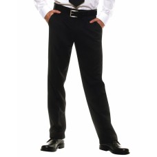 Vīriešu klasiskas bikses Nr.139/20