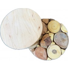 Paliknis traukiem -  ozolkoka. OAK047