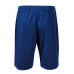 Vīriešu sporta šorti Nr.270/34