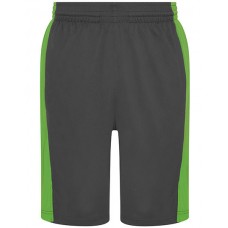 Vīriešu sporta šorti Nr.272/37