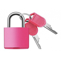 Bagāžas slēdzene Nr. 289/3h