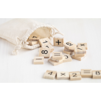 Koka spēle  Nr. 314/10